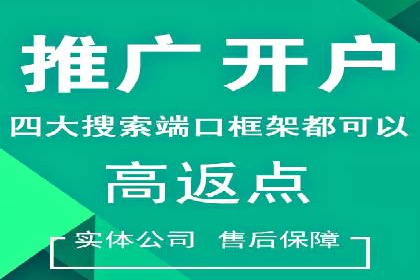 竞价广告投放技巧与案例分析